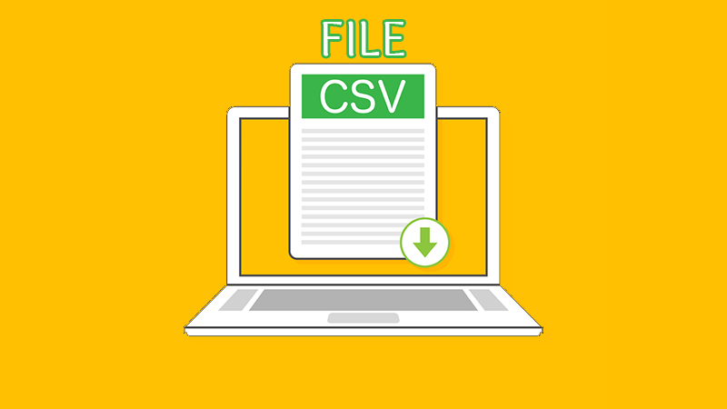 File CSV